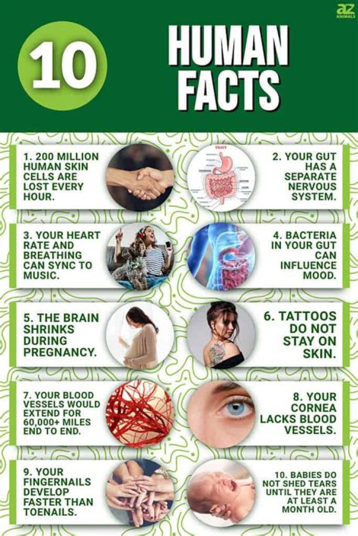 10 amazing facts about Human Adam's apple How and Why's