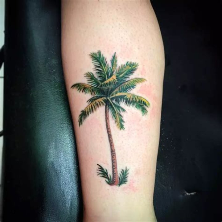 120+ Best Palm Tree Tattoo Designs and Meaning [Ideas of 2019]
