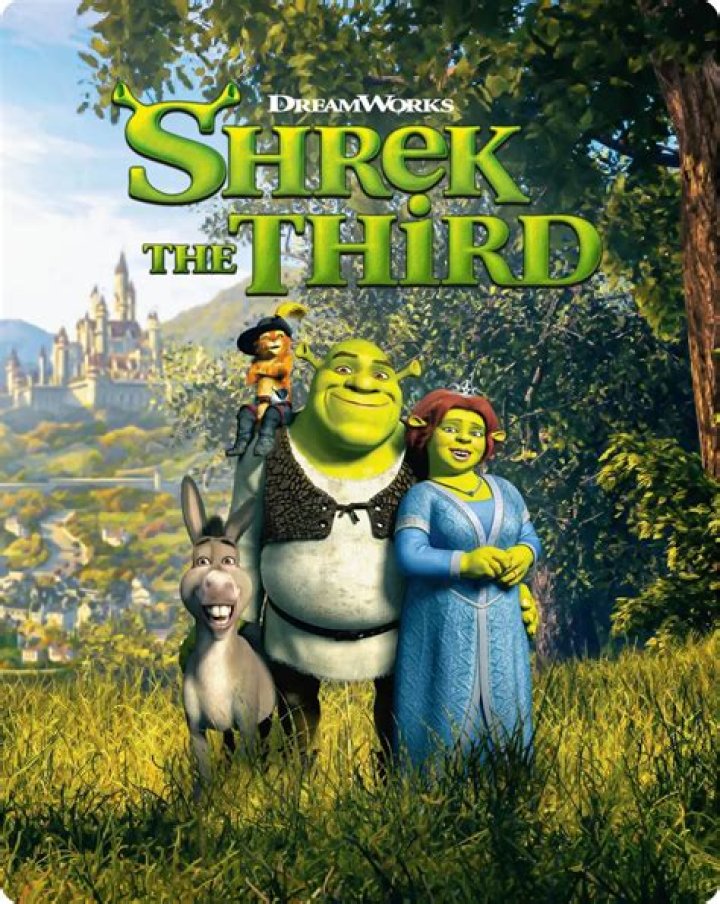 𝘛𝘢𝘪𝘯𝘢𝘪𝘳𝘺💜⚡️🐋 on Twitter Shrek, Shrek prince, Blonde hair boy