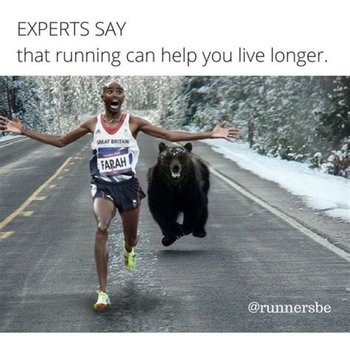 17 Funniest Running Memes Which One's Do You Relate To? Running