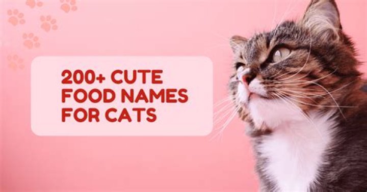 200+ Cute Food Names for Dogs Hey, Djangles.