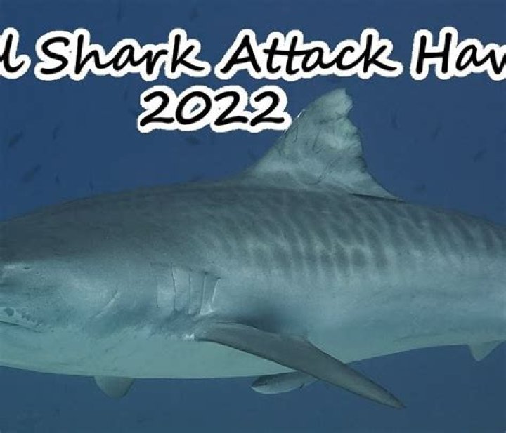 2022 Fatal Shark Attack in the Bahamas
