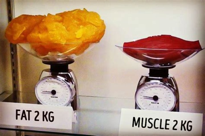 2Kg Fat Looks Like What does 2kg of weight loss really look like