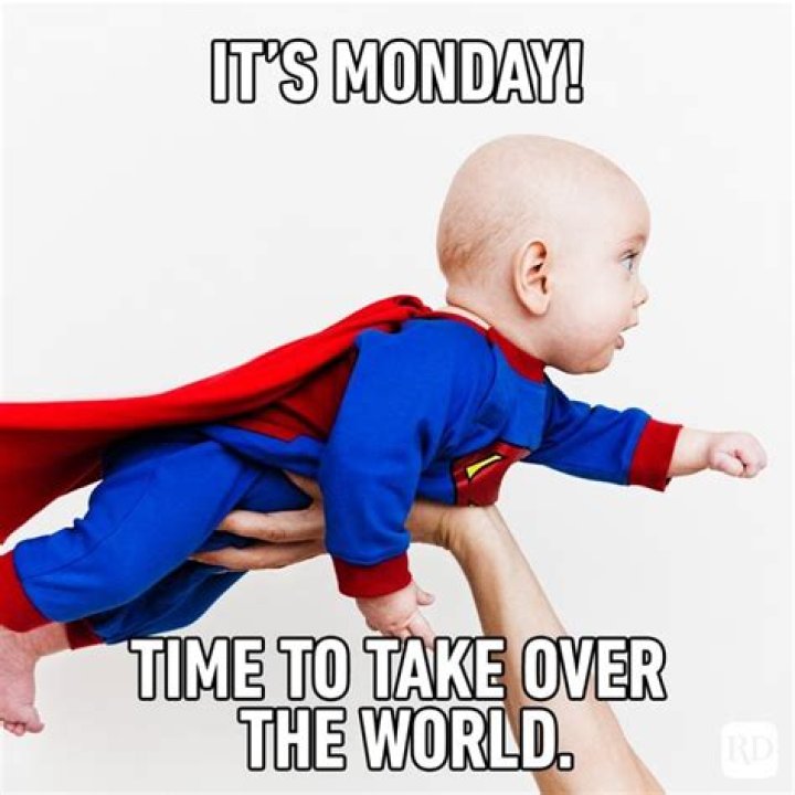 35 Monday Memes to Start the Week Off Right Reader's Digest