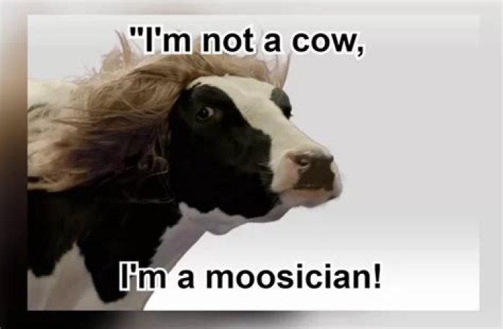 35 Most Funny Cow Meme Pictures And Photos