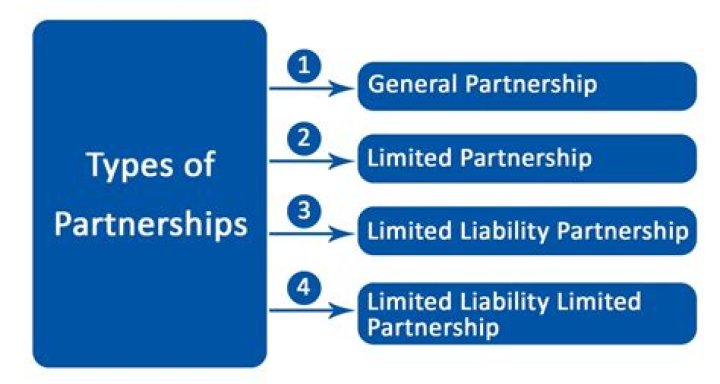 4 Kinds Types of Partners