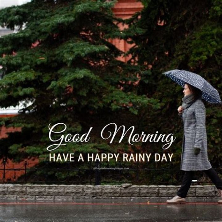 45+ [BEST] Rainy Good Morning Images