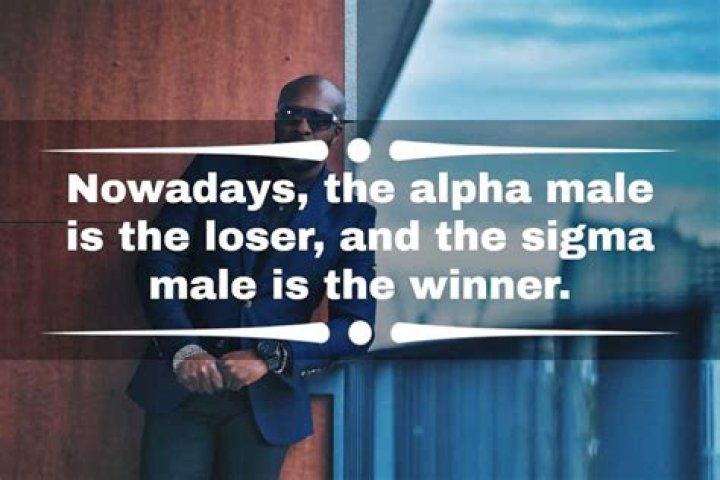 60+ Best Sigma Male Quotes 2023 EasyQuestionsToAsk