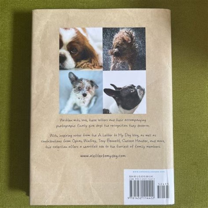 a letter to my dog