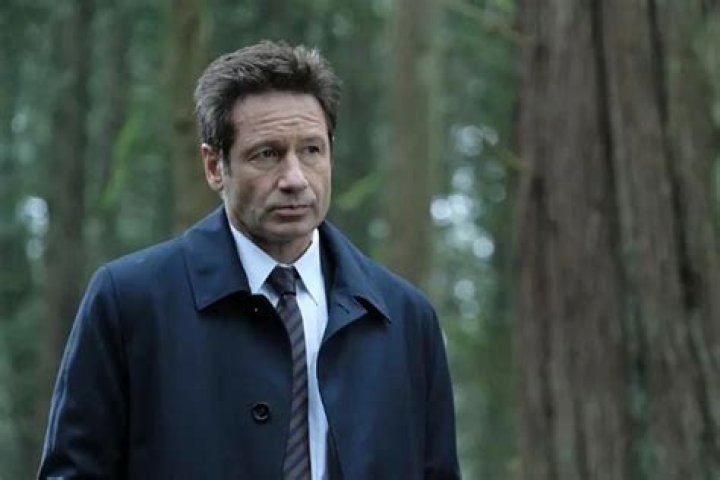 Actor David Duchovny Uses Alma Mater Princeton University As Stepping