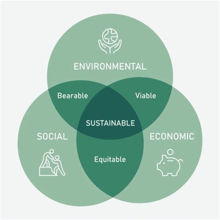 Aiden Caohman's Vieques Vision: A Legacy Of Justice And Sustainability