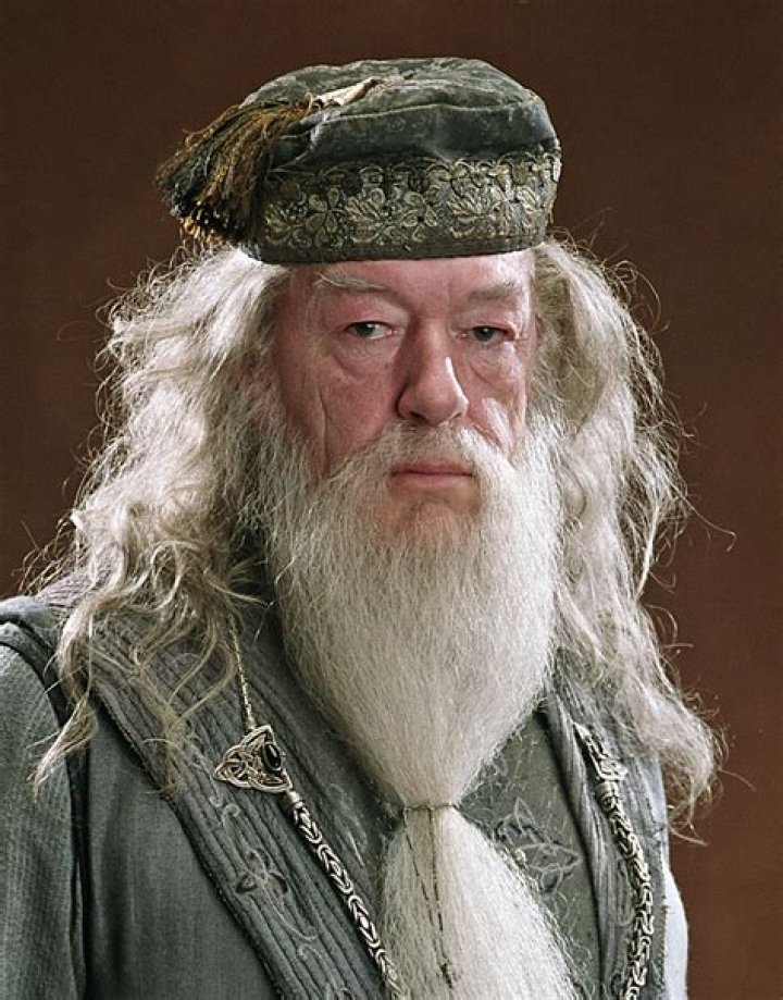 Albus Dumbledore Fictional Characters Wiki FANDOM powered by Wikia