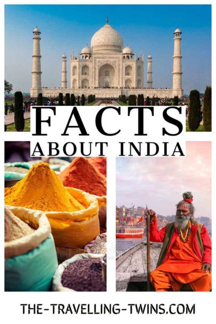 All Things About India Ann Sushil Sood