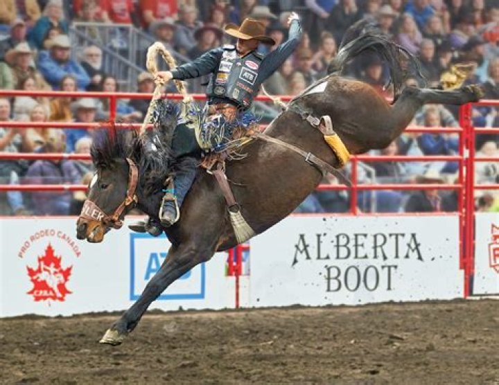AmberleyDSC_0550.JPG (1066&times;1600) Rodeo horses, Western horse saddles