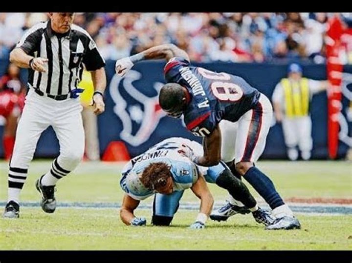 Andre Johnson Fight