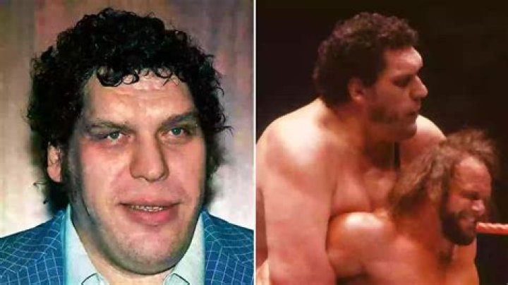 Andre the Giant caused people to gag thanks to 'world's biggest poo'