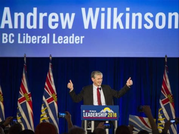 Andrew Wilkinson elected B.C. Liberal Party leader British Columbia