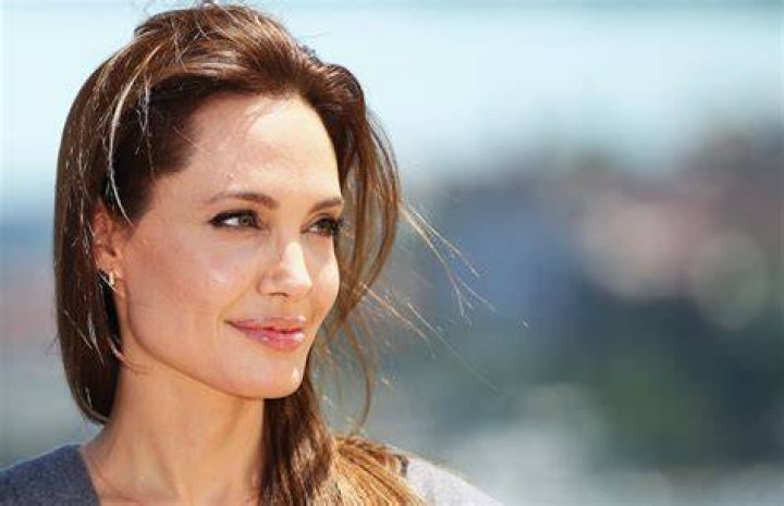 Angelina Jolie ha un nuovo fidanzato? Chi &egrave; David Mayer