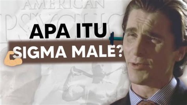 Apa Itu Sigma Male? YouTube