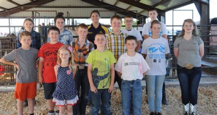 Area youths take home awards at livestock show, fair Bolivar Herald