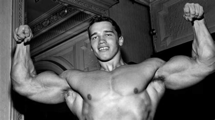 Arnold Schwarzenegger's son is the SPIT of his movie star dad The US Sun