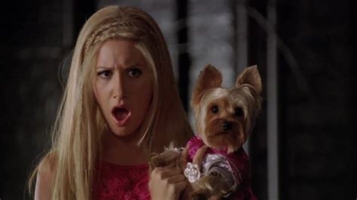 Ashley Tisdale in Sharpay's Fabulous Adventure Movies & T.V Shows
