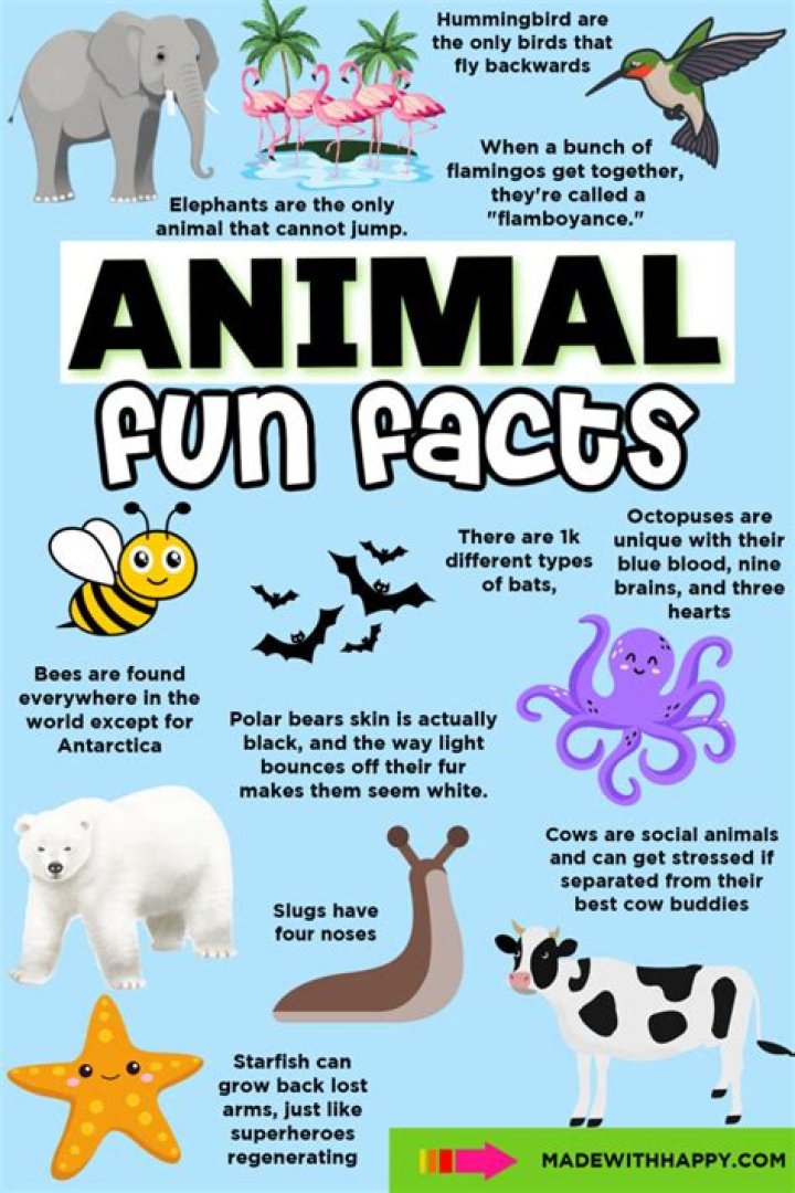 AZ Blog Animal News, Facts, Rankings, and More! Page 2 of 5 AZ