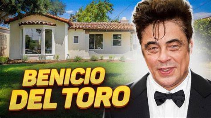 Benicio Del Toro gives his growing daughter Delilah a lift as they go