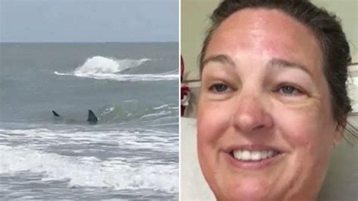 Beware: Hilton Head Island's Shark Attacks
