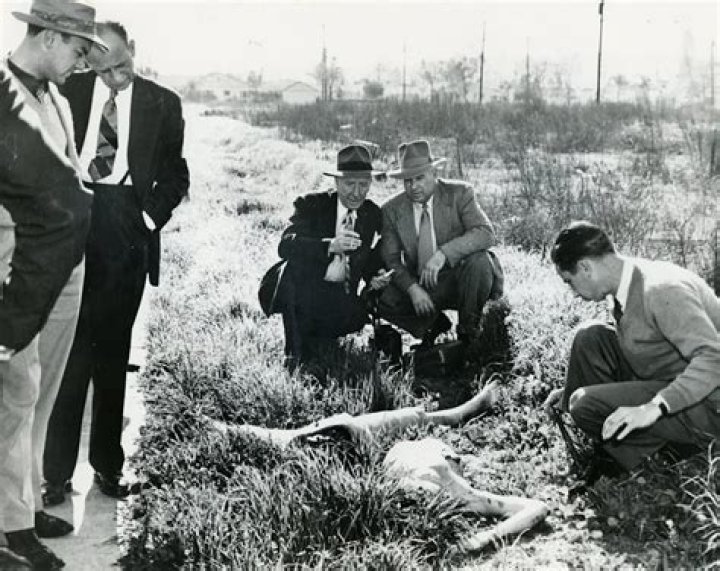 Black Dahlia Has the murder of Elizabeth Short been solved? Herald Sun