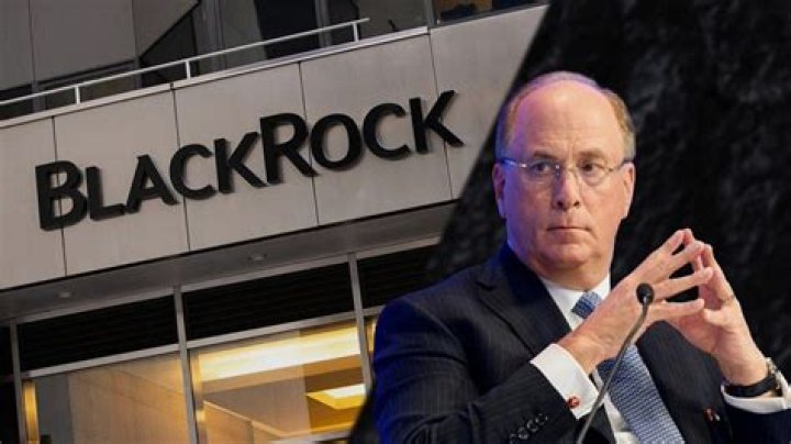 BlackRock CEO Larry Fink thinks working from home is here to stay