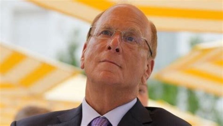 BlackRock CEO Larry Fink's 2020 letter backs up climate rhetoric with