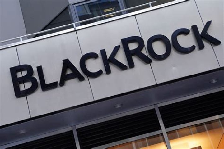 BlackRock Nedir? &bull; Coinkolik