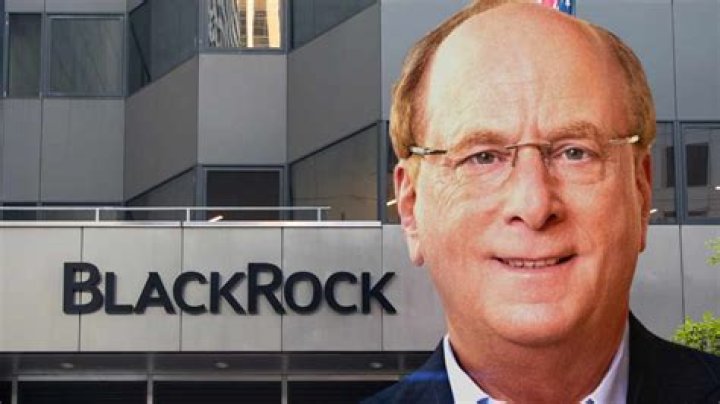 BlackRock&rsquo;s Larry Fink Says a New Era of &lsquo;Shareholder Democracy&rsquo; Is Coming