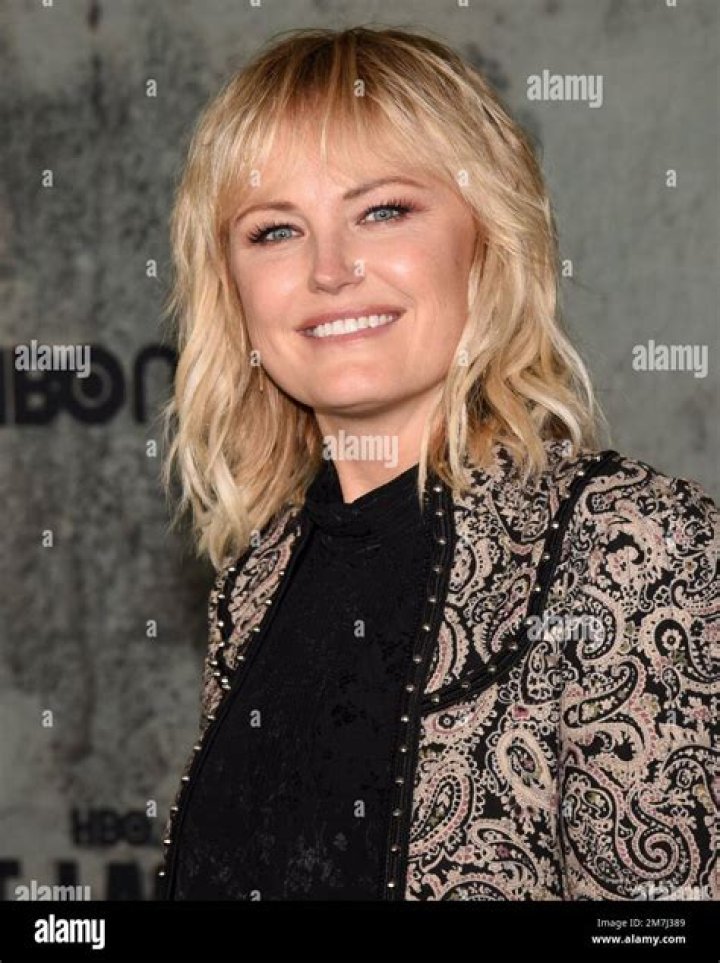BOLLYWOOD ACTRESS Actress Malin Akerman