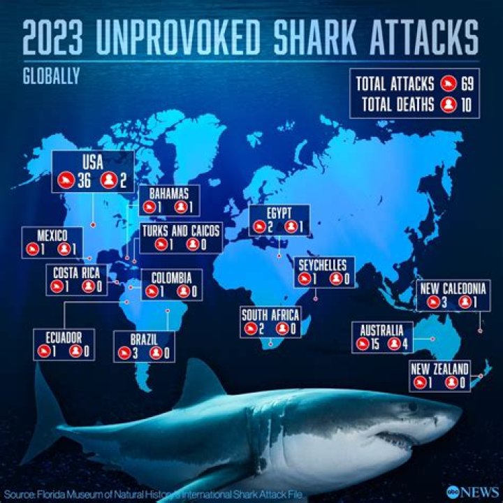 Brace For Impact: Shark Attacks Surge In Hilton Head 2024