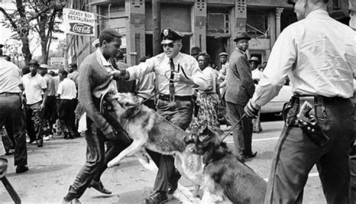 Bull Connor 2.0 The Police Response to OccupyWallStreet