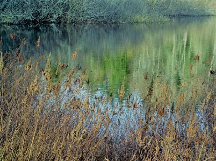 Burton Photography