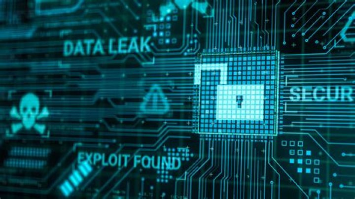Camila Araujo | Leaks, Sensitive Data, And Security Breaches