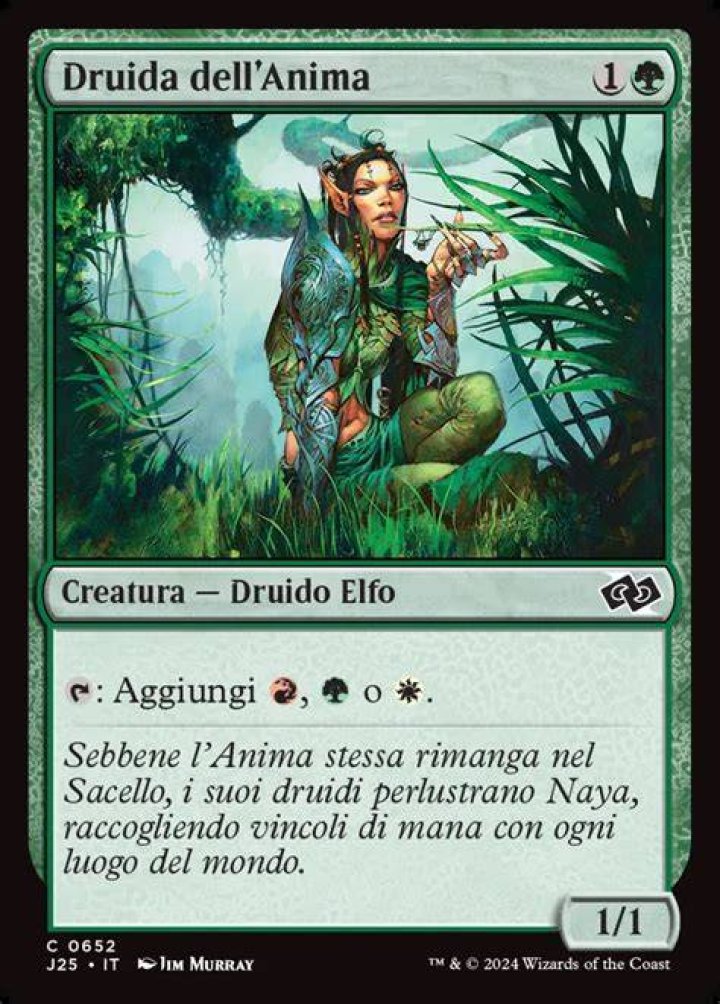 Card Name Druid of the Swarm Artist Blizzard Entertainment Warcraft