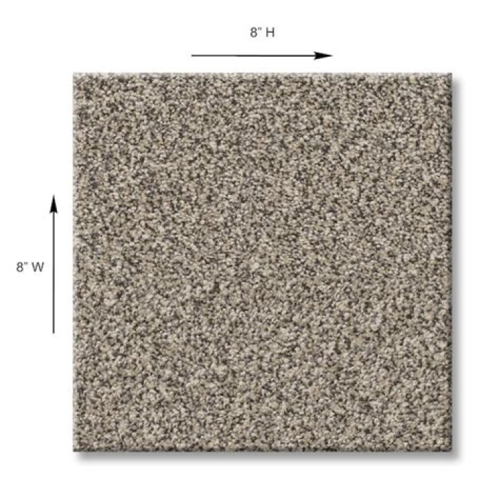 Carpet Sample Charm Square Color Boulder 8 in. x 8 in.SH766622