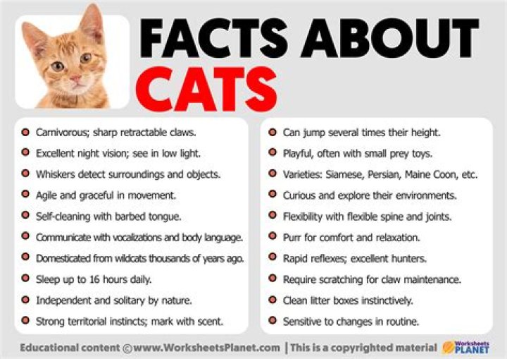 Cat Facts! All About Cats Nikki's Wiki Wiki for Kids at Cool
