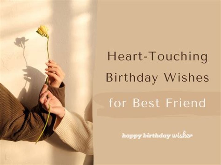 Celebrating Friendship: Heartfelt Happy Birthday Quotes For Your Best Friend