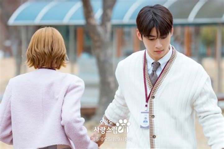 Cha Eun Woo And Park Gyu Young's New KDrama 'A Good Day To Be A Dog'