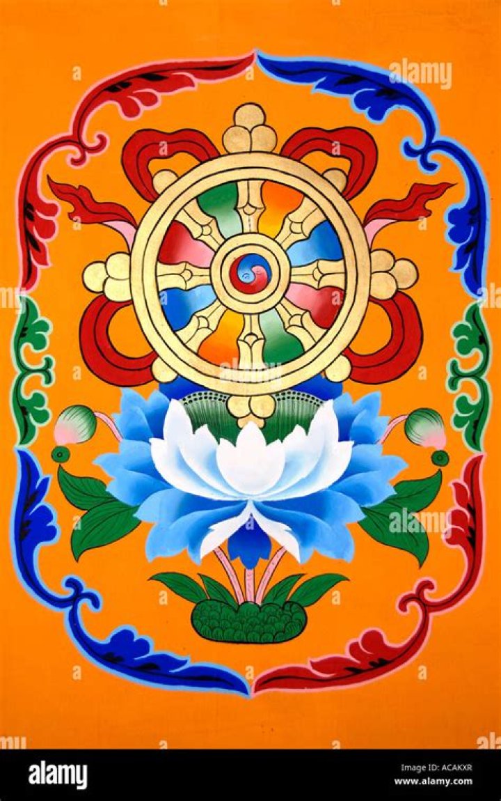 China & Tibet Lotus flower pictures, Rose flower photos, Chinese flowers
