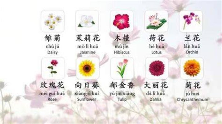 Chinese Flowers: Beauty And Significance In Chinese Culture