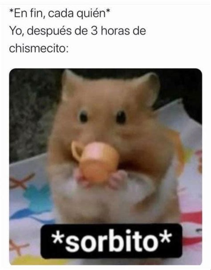 Chismecito Memes divertidos, Memes graciosos, Memes para reir