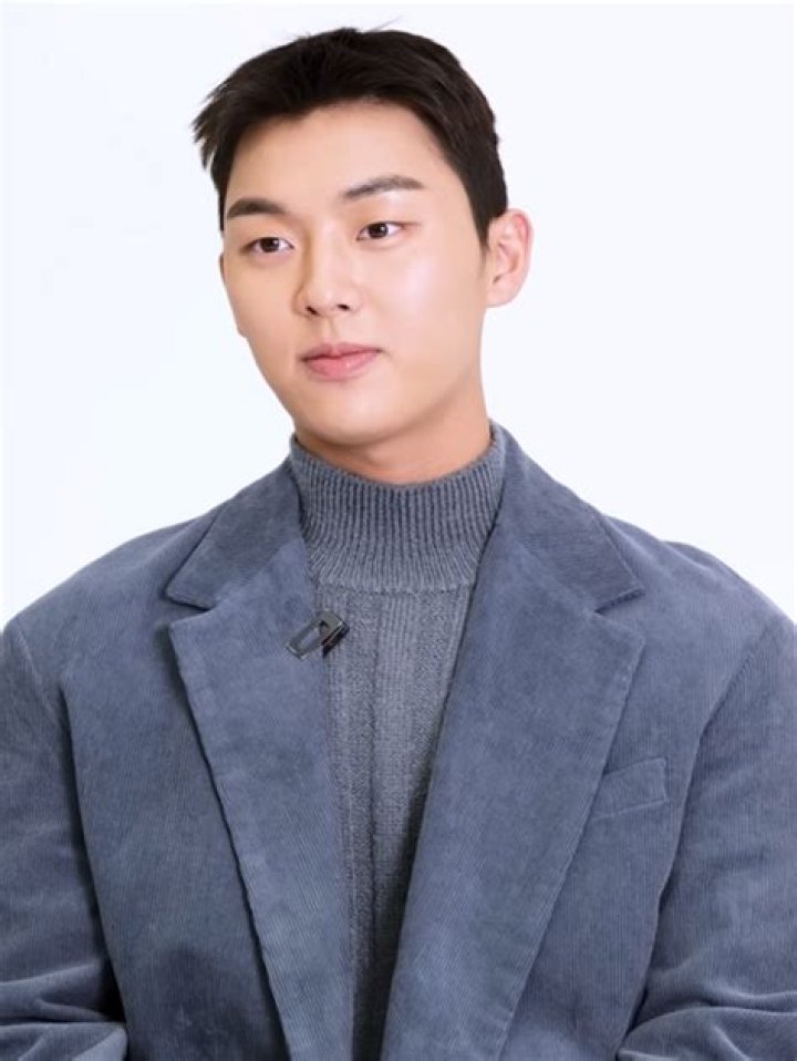 Choi Hyun Wook DramaWiki
