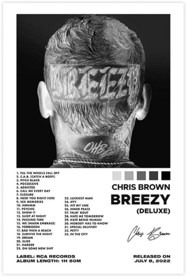 Chris Brown Shares The Tracklist For His New Album 'Breezy'