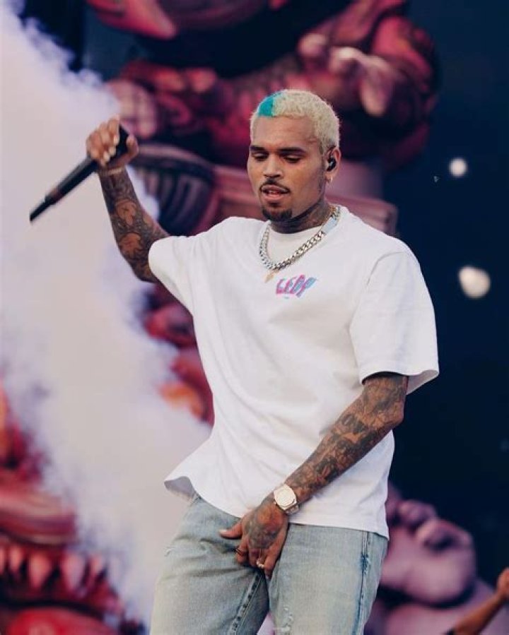 Chris Brown's Daughter Proves She's Already the Best Big Sister E! News